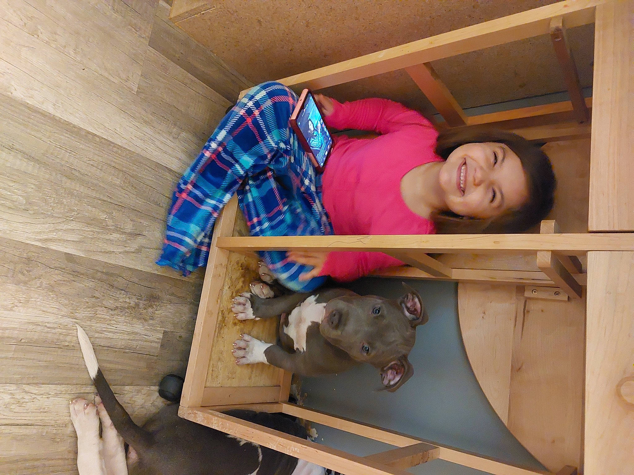 Abel is registered to the contest to win money with this photo: child, comfort, floor, flooring, fun, happy, hardwood, leisure, plywood, room, sitting, stuffed_toy, t_shirt, toy, vacation, vertebrate, wood, wood_flooring, wood_stain, working_animal