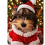 adorable, animal, bokeh, celebration, christmas, christmas_tree, costume, cute, dog, festive, fur, holiday, holiday_spirit, indoors, pet, portrait, puppy, red_clothing, santa_hat, small_dog