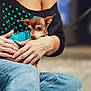 animal, black_top, blurred_background, casual, close_up, clothing, companion, cute, dog, friendly, gold_chain, hands, holding, indoor, jeans, person, pet, relaxed, small_dog, snuggling