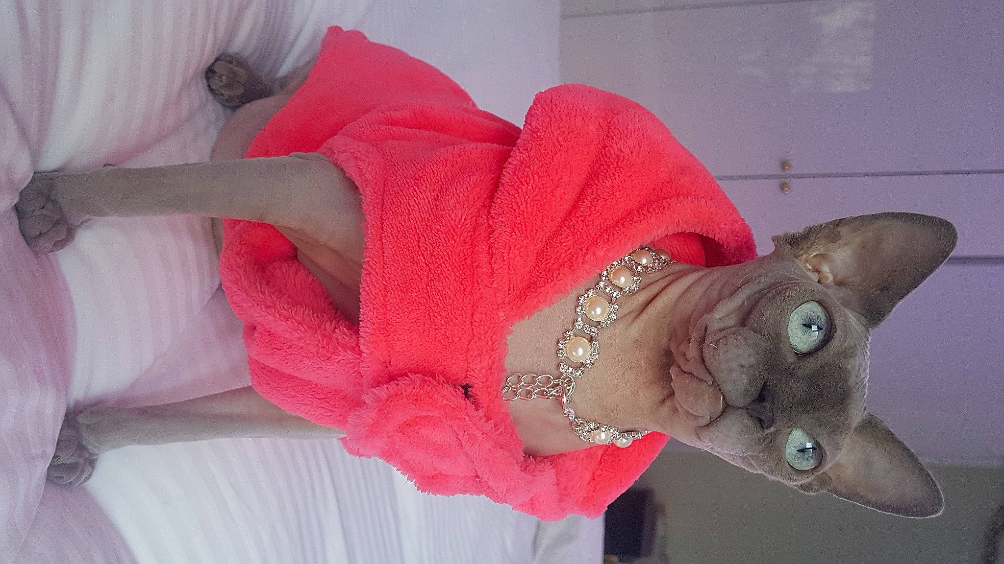 Ola participe au concours pour gagner de l'argent avec cette photo : art, carmine, costume_hat, fashion_accessory, fawn, fish, flesh, gesture, headgear, headpiece, human_leg, jewellery, magenta, nail, necklace, peach, petal, pink, thigh, wrist