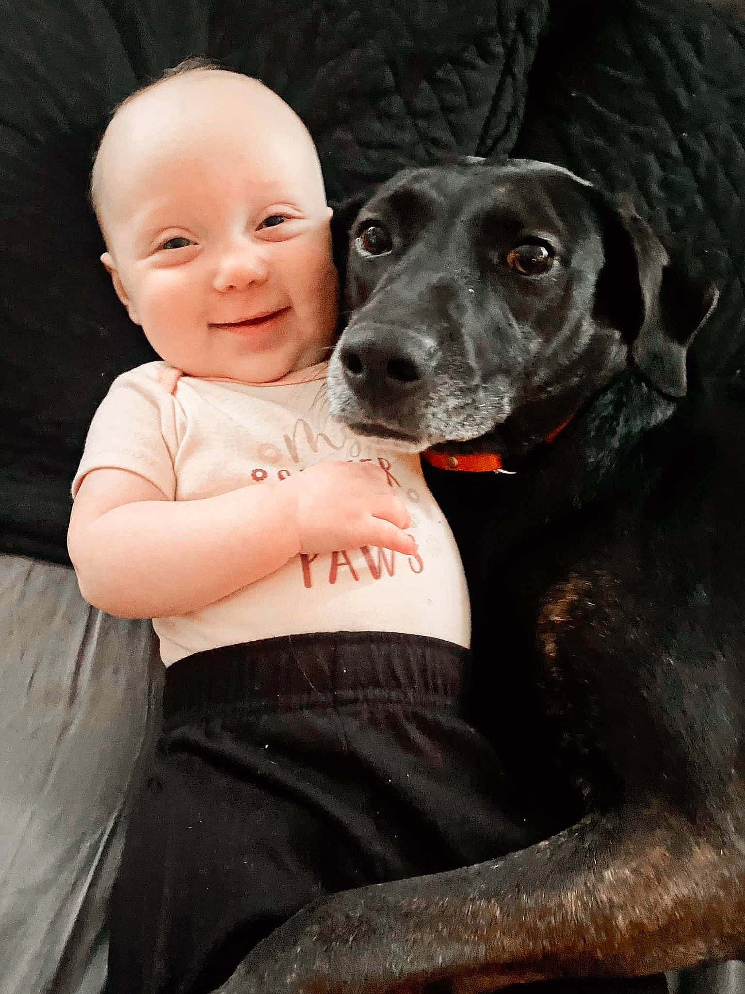 Emberlyn is registered to the contest to win money with this photo: baby, baby_toddler_clothing, canidae, carnivore, companion_dog, dog, dog_breed, dog_collar, fawn, flash_photography, fur, guard_dog, happy, joy, monochrome_photography, person, sitting, smile, snout, sporting_group