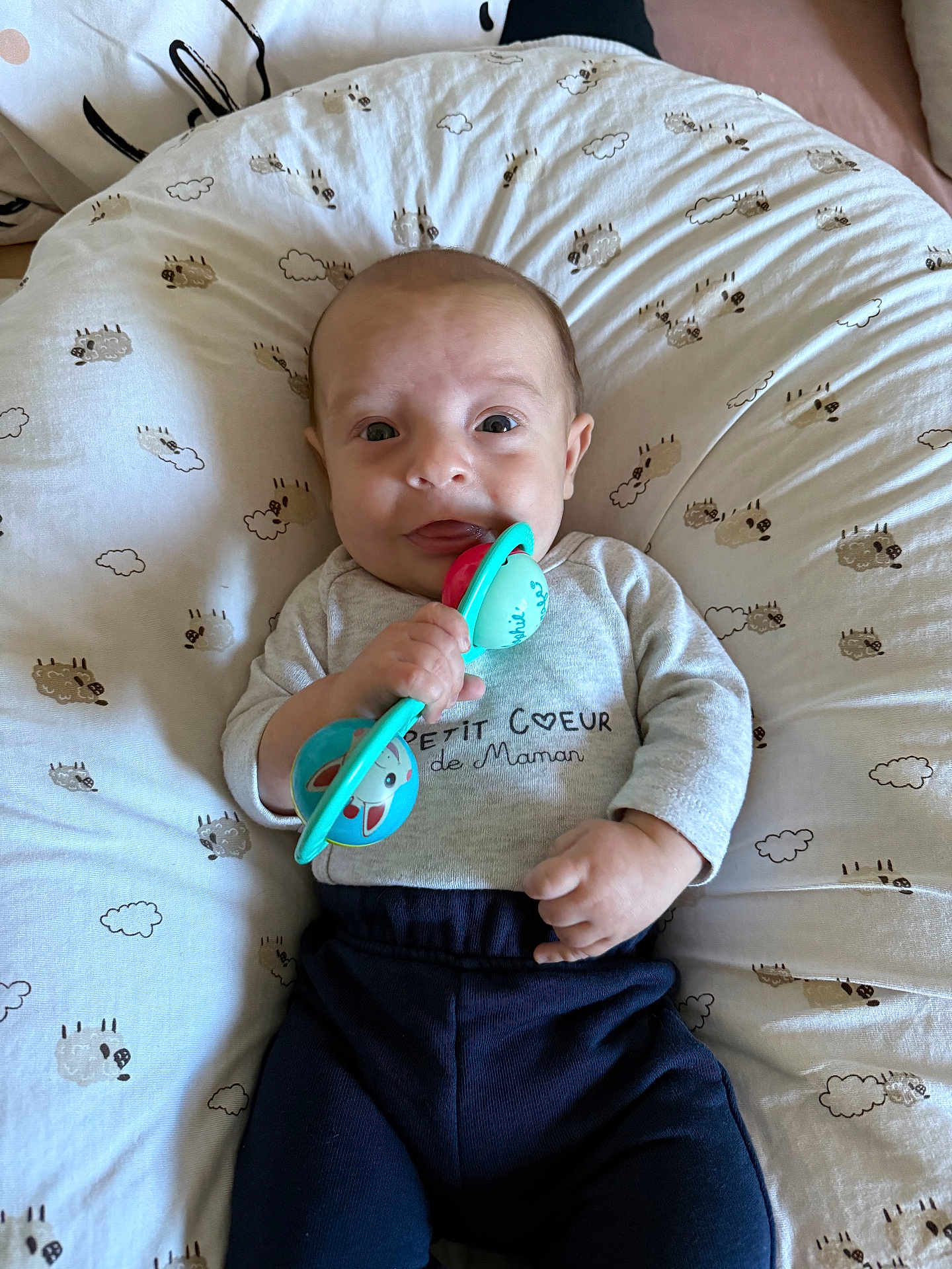 Ayden participe au concours pour gagner de l'argent avec cette photo : baby, infant, toy, pillow, sheep_pattern, clothing, grey_shirt, navy_pants, hand, face, expression, lying_down, cute, indoor, child, young_child, person, comfort, playful, soft