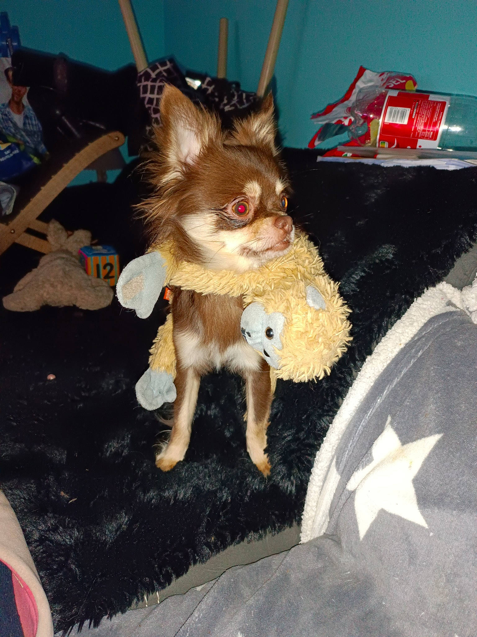 Minato a rejoint le concours — aidez-le/la à gagner de superbes lots ! art, bat, canidae, carnivore, companion_dog, dog_breed, fashion_accessory, fawn, felidae, fictional_character, fur, mythical_creature, road_surface, small_to_medium_sized_cats, snout, tail, toy, toy_dog, whiskers, working_animal