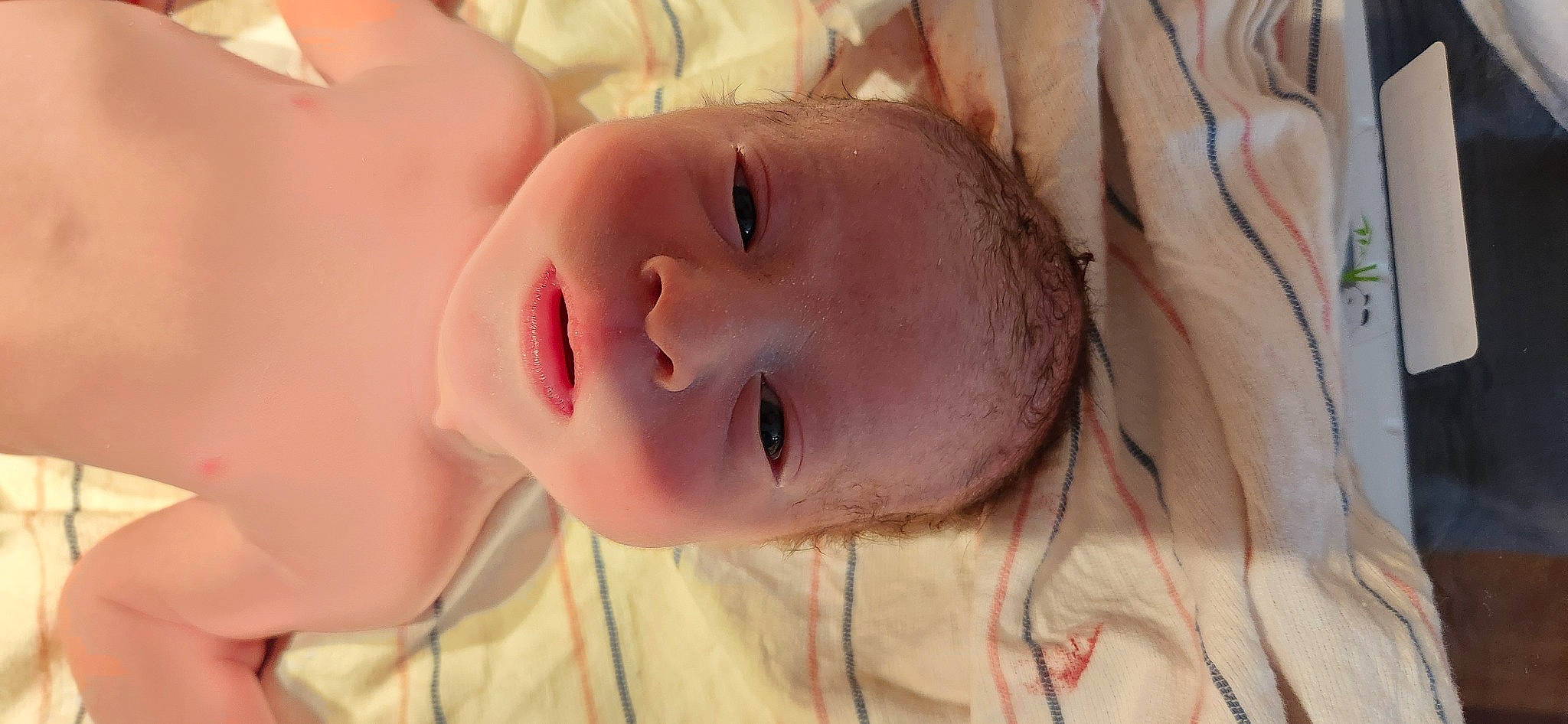 Braylen is registered to the contest to win money with this photo: baby, cheek, chin, ear, eye, eyebrow, eyelash, face, hair, happy, head, human_body, iris, lip, mouth, nose, person, plant, skin, smile