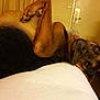Bo is registered to the contest to win money with this photo: