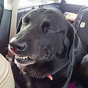 Sadie is registered to the contest to win money with this photo:
