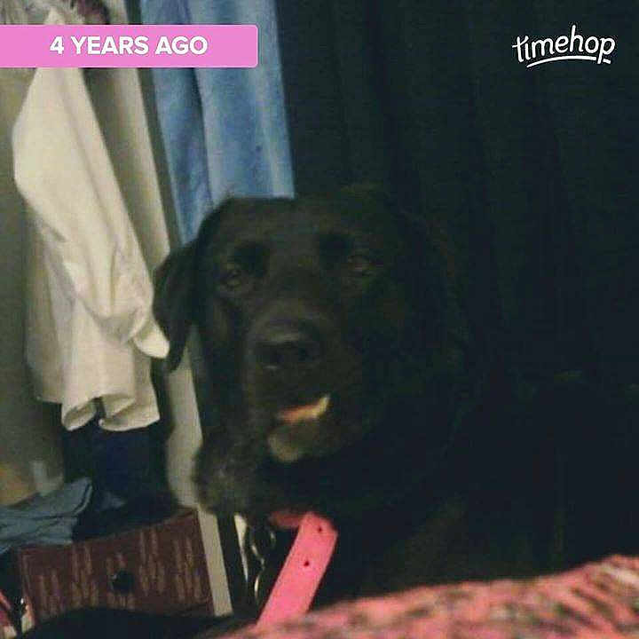 Sadie