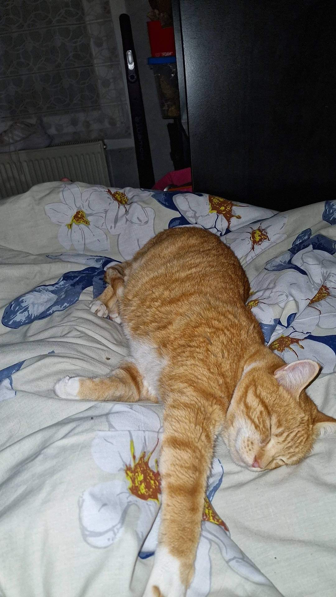 Mimine a rejoint le concours — aidez-le/la à gagner de superbes lots ! bed, carnivore, cat, chair, claw, comfort, domestic_short_haired_cat, fawn, felidae, fur, linens, nap, paw, room, small_to_medium_sized_cats, snout, tail, terrestrial_animal, whiskers, wool