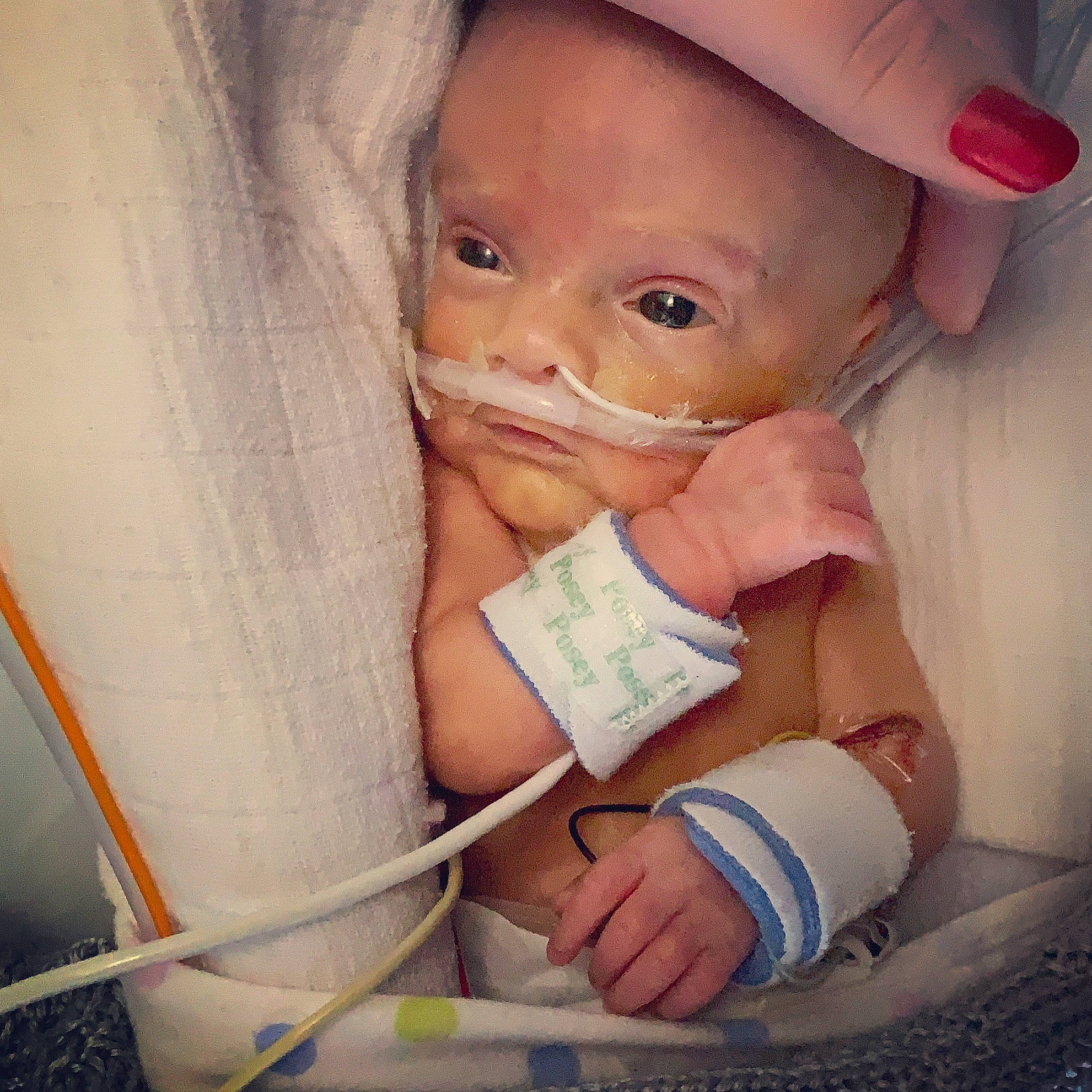 Benny is registered to the contest to win money with this photo: baby, baby_products, baby_safety, cheek, child, eye, finger, hand, lip, nose, person, product, skin, toddler