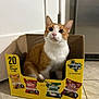 cat, orange_cat, white_cat, cardboard_box, potato_chip_box, kitchen_floor, tile_floor, cabinet, appliance, indoor, pet, curious, sitting, looking_up, whiskers, ears, feline, domestic_cat, household, box