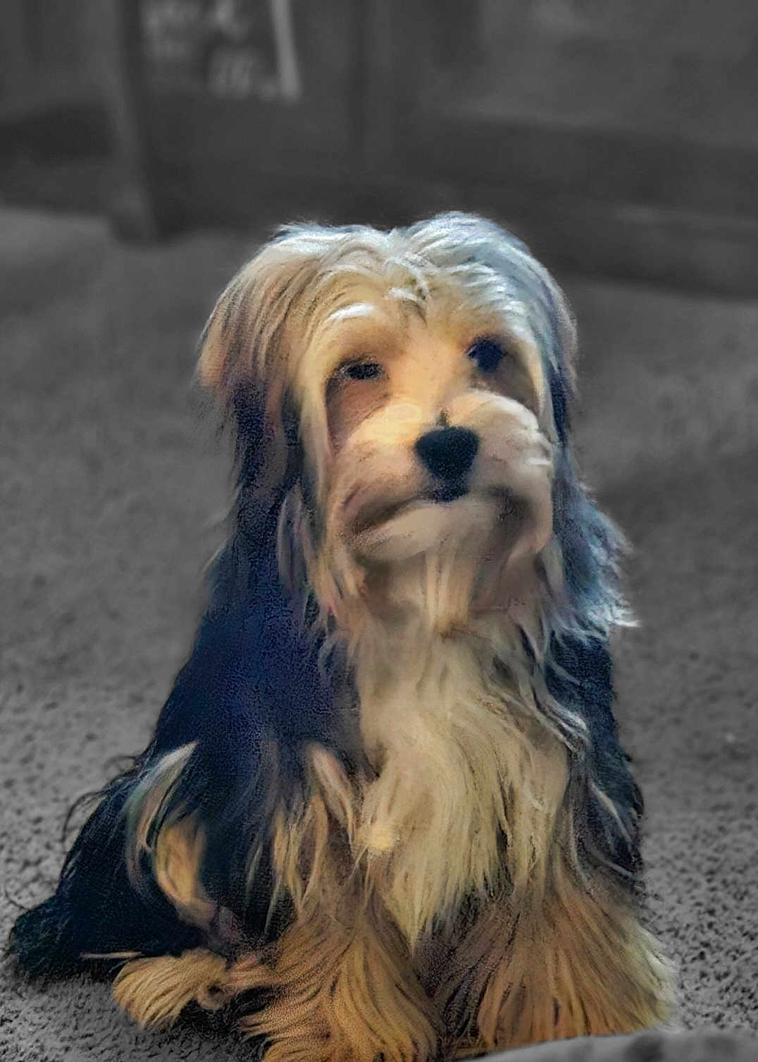 Milo