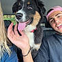 Ayro a rejoint le concours — aidez-le/la à gagner de superbes lots ! dog, person, smile, tongue_out, cap, car_interior, hand, black_tshirt, blonde_hair, happy, pet, friendship, seat, window, collar, fur, young_adult, casual_clothing, indoor, portrait