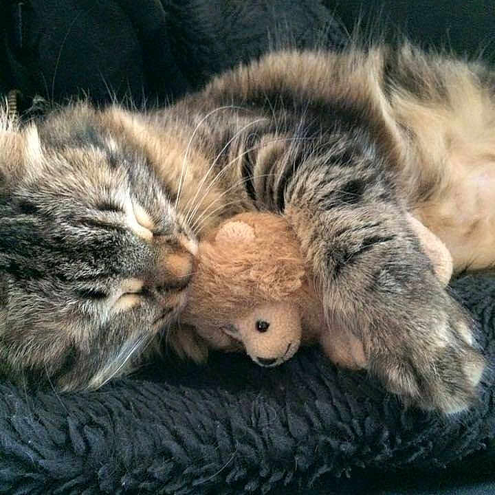 Kaya a rejoint le concours — aidez-le/la à gagner de superbes lots !