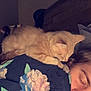animal, bed, blanket, calm, cat, comfort, cozy, face, floral_pattern, fur, headboard, human, indoor, nap, nighttime, pet, pillow, relaxation, resting, sleeping_person