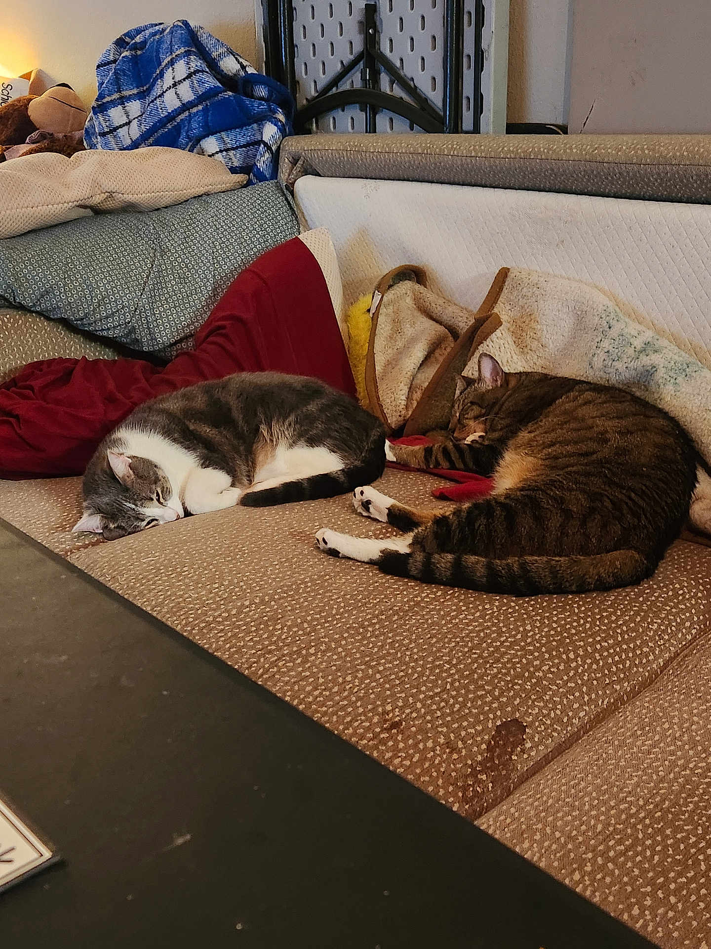 Chloe And Jack