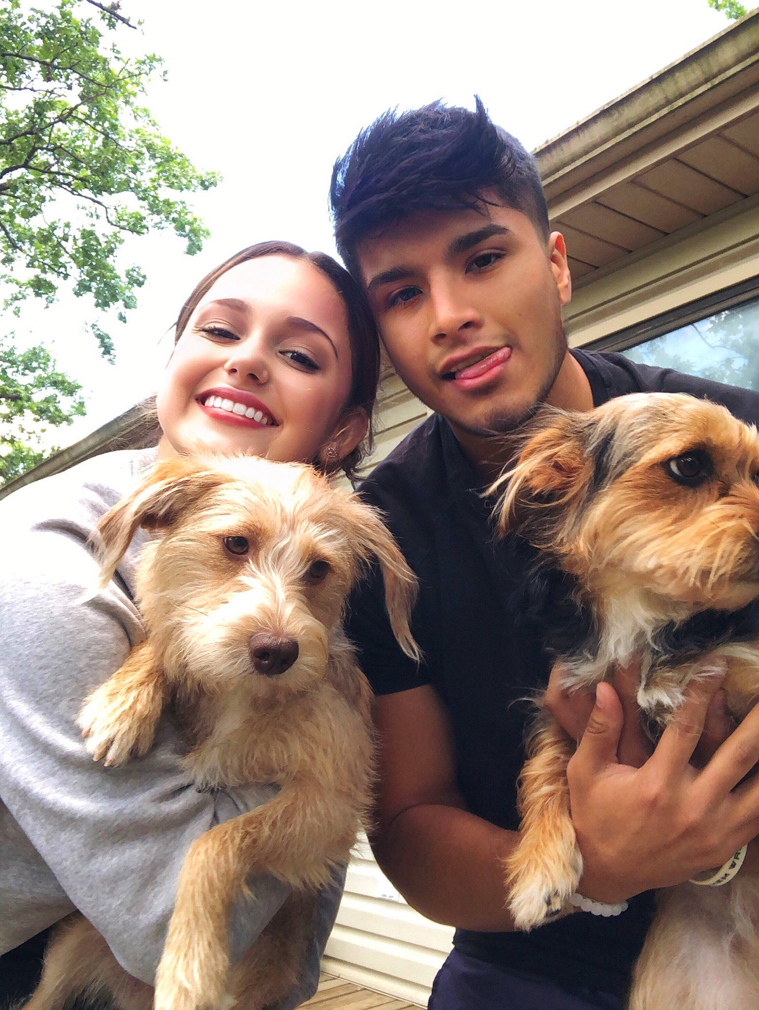 Zoey joined the competition — help win amazing prizes! australian_terrier, bosnian_coarse_haired_hound, canidae, carnivore, companion_dog, dog, dog_breed, dutch_smoushond, mammal, norfolk_terrier, norwich_terrier, puppy_love, rare_breed_dog, sapsali, small_terrier, sporting_group, sporting_lucas_terrier, terrier, vertebrate, yorkshire_terrier