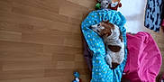 Creme a rejoint le concours — aidez-le/la à gagner de superbes lots ! art, baby_toddler_clothing, baby_toys, child, doll, electric_blue, flooring, fun, fur, linens, pattern, play, plush, room, sitting, sleeve, stuffed_toy, teddy_bear, toy, wood