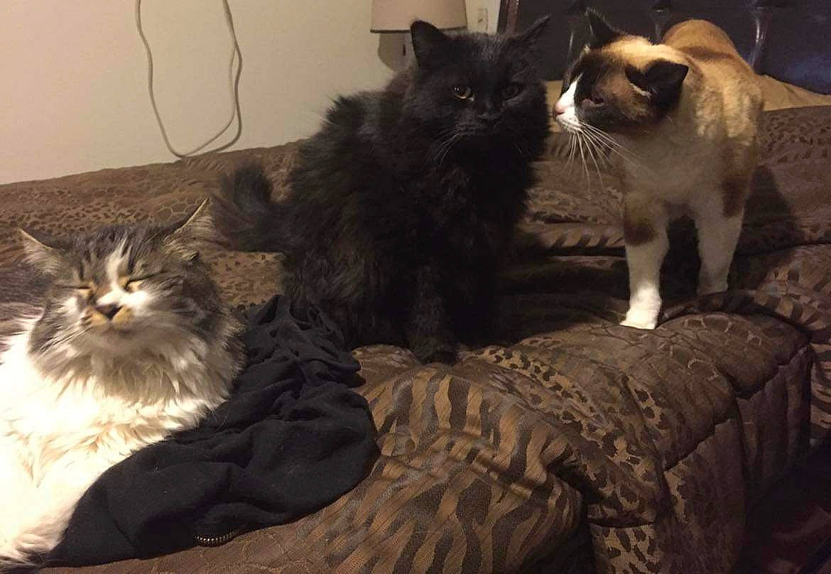 Honey Magic Baby Girl