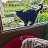 cat, black_cat, window, open_window, garden, flowers, greenery, outdoor, indoor, furniture, chair, cushion, plant, nature, pet, animal, curious, balancing, daylight, home