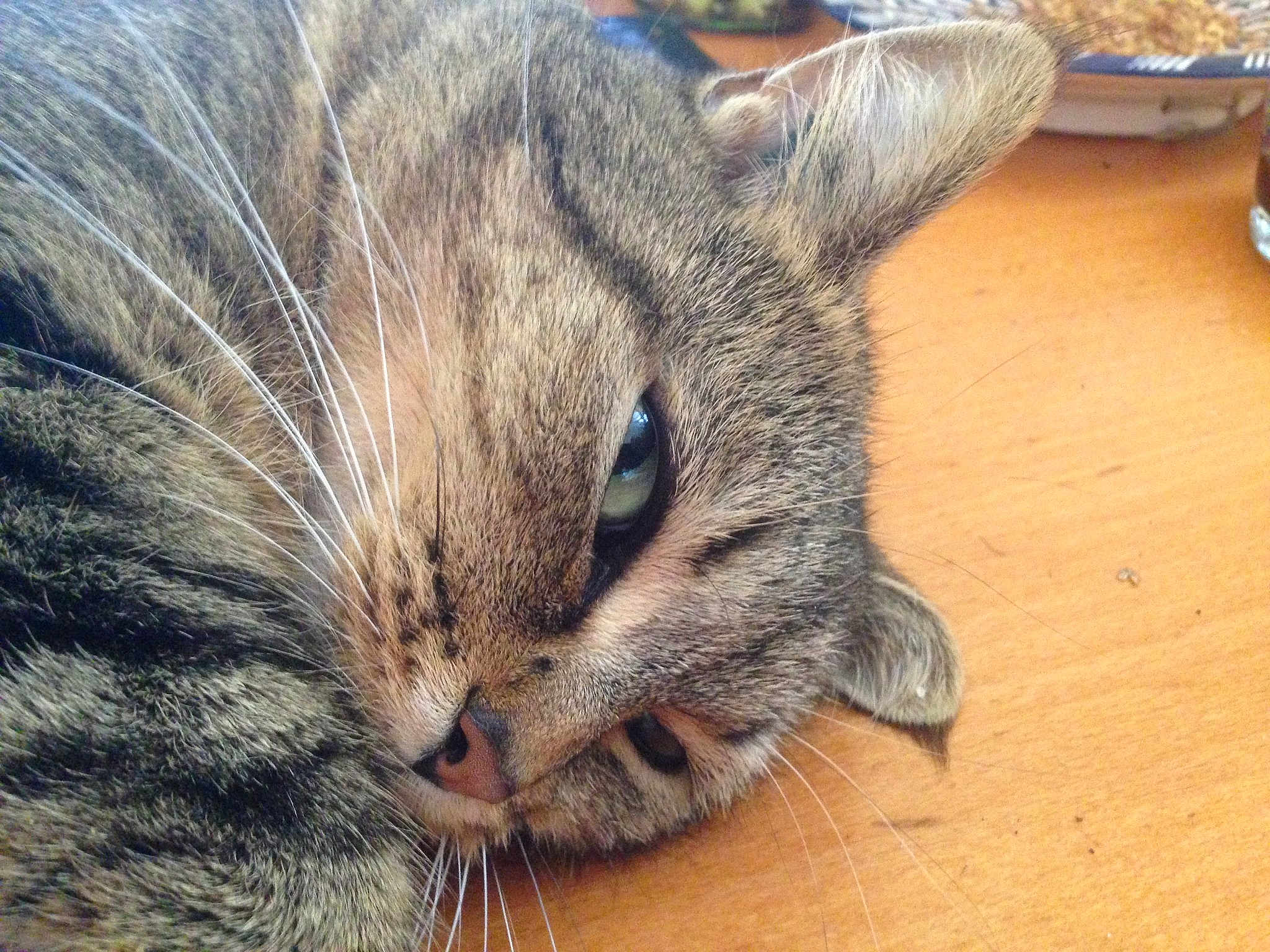 Tibb