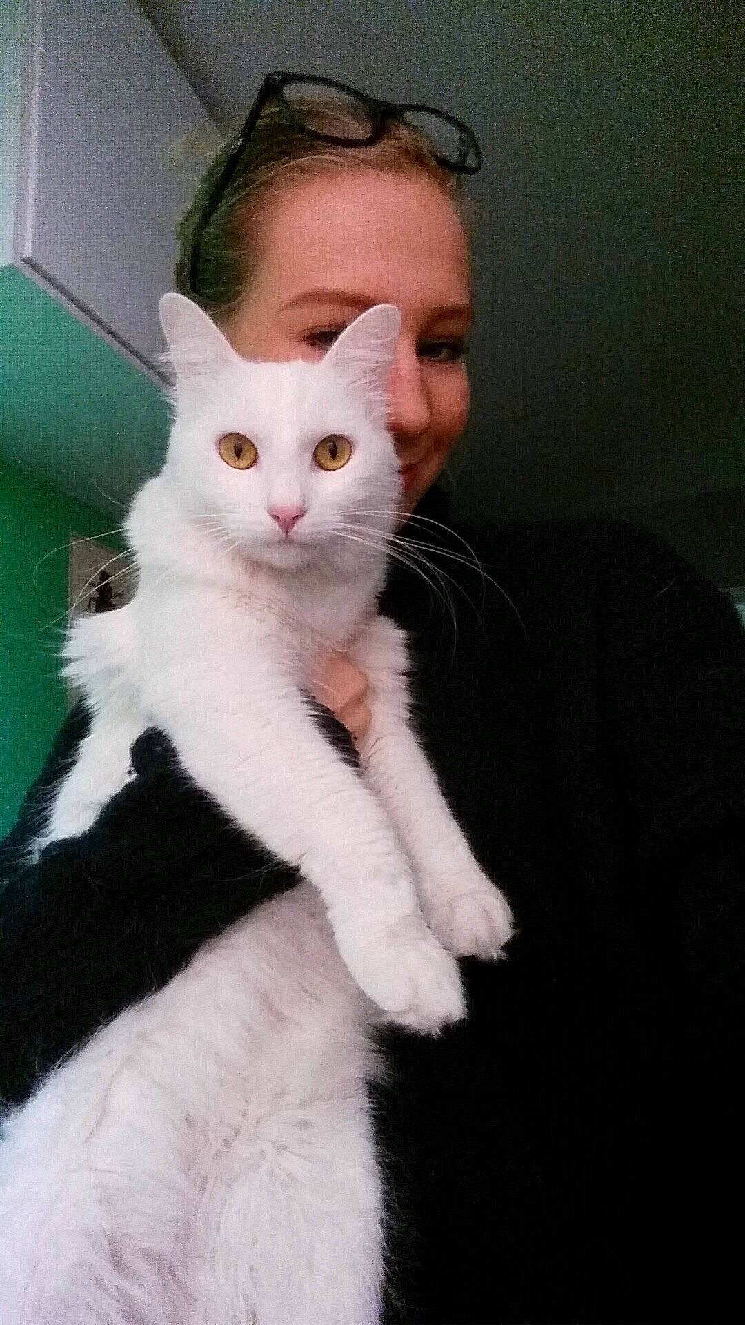 Mystic a rejoint le concours — aidez-le/la à gagner de superbes lots ! aegean_cat, cat, cat_like_mammal, domestic_short_haired_cat, european_shorthair, eye, fur, khao_manee, kitten, person, skin, small_to_medium_sized_cats, turkish_angora, turkish_van, whiskers