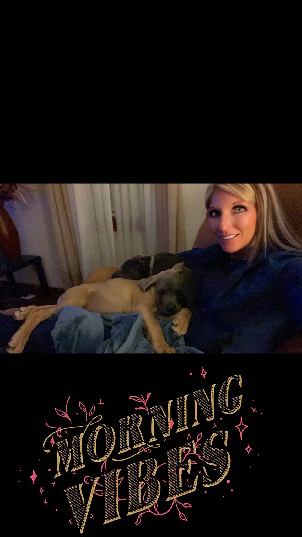 Hank joined the competition — help win amazing prizes! advertising, book, book_cover, cloud, comfort, companion_dog, curtain, darkness, fiction, flash_photography, flesh, font, fur, happy, love, movie, photo_caption, publication, room, sitting