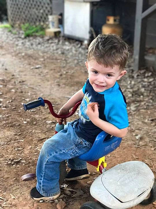 Briar joined the competition — help win amazing prizes!