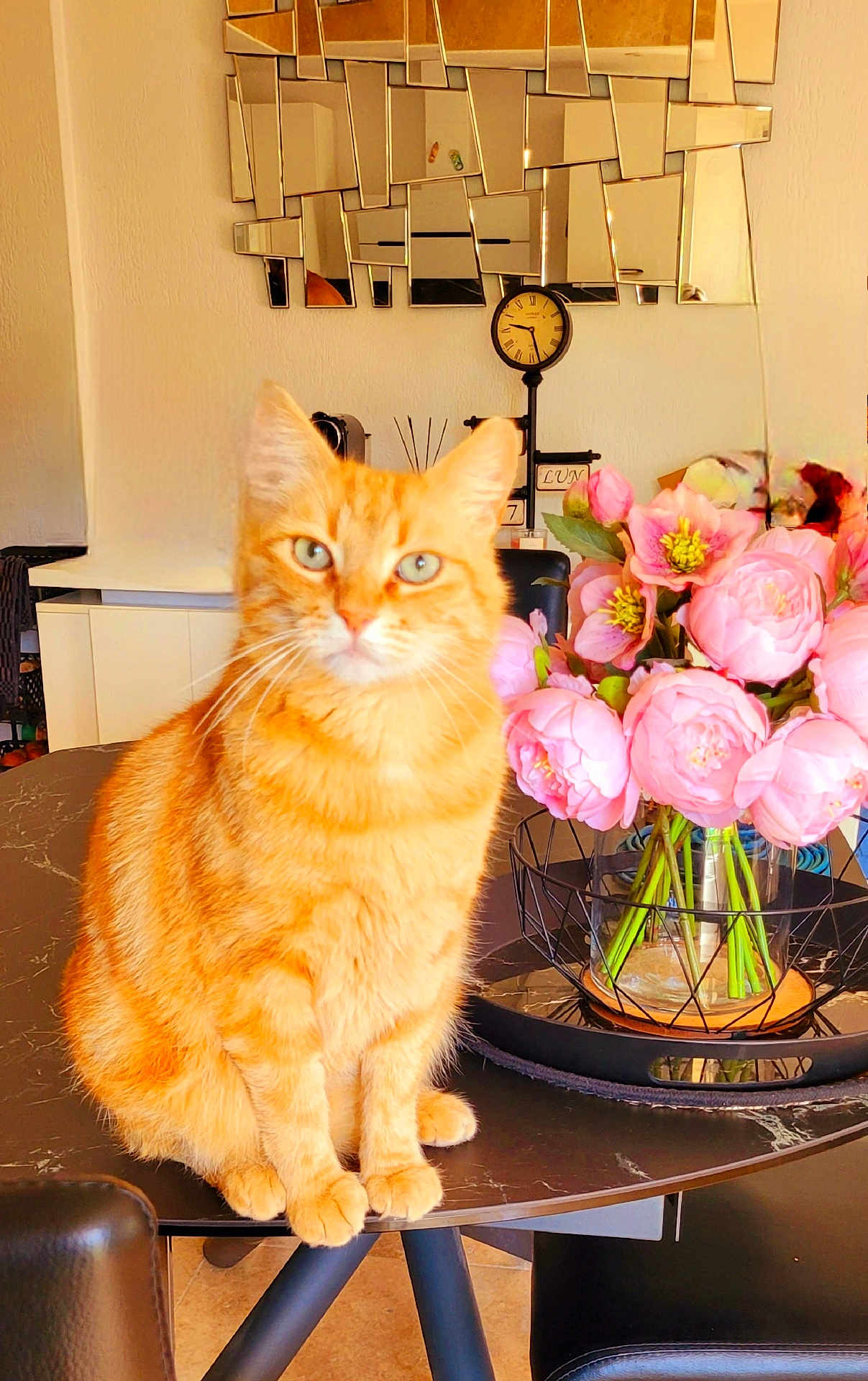 Mimi a rejoint le concours — aidez-le/la à gagner de superbes lots ! animal, black_table, cat, clock, closeup, decor, domestic_cat, flower_bouquet, furniture, glass_vase, home, indoor, marble_table, mirror, modern_interior, orange_tabby, pet, pink_flowers, seated, tabletop