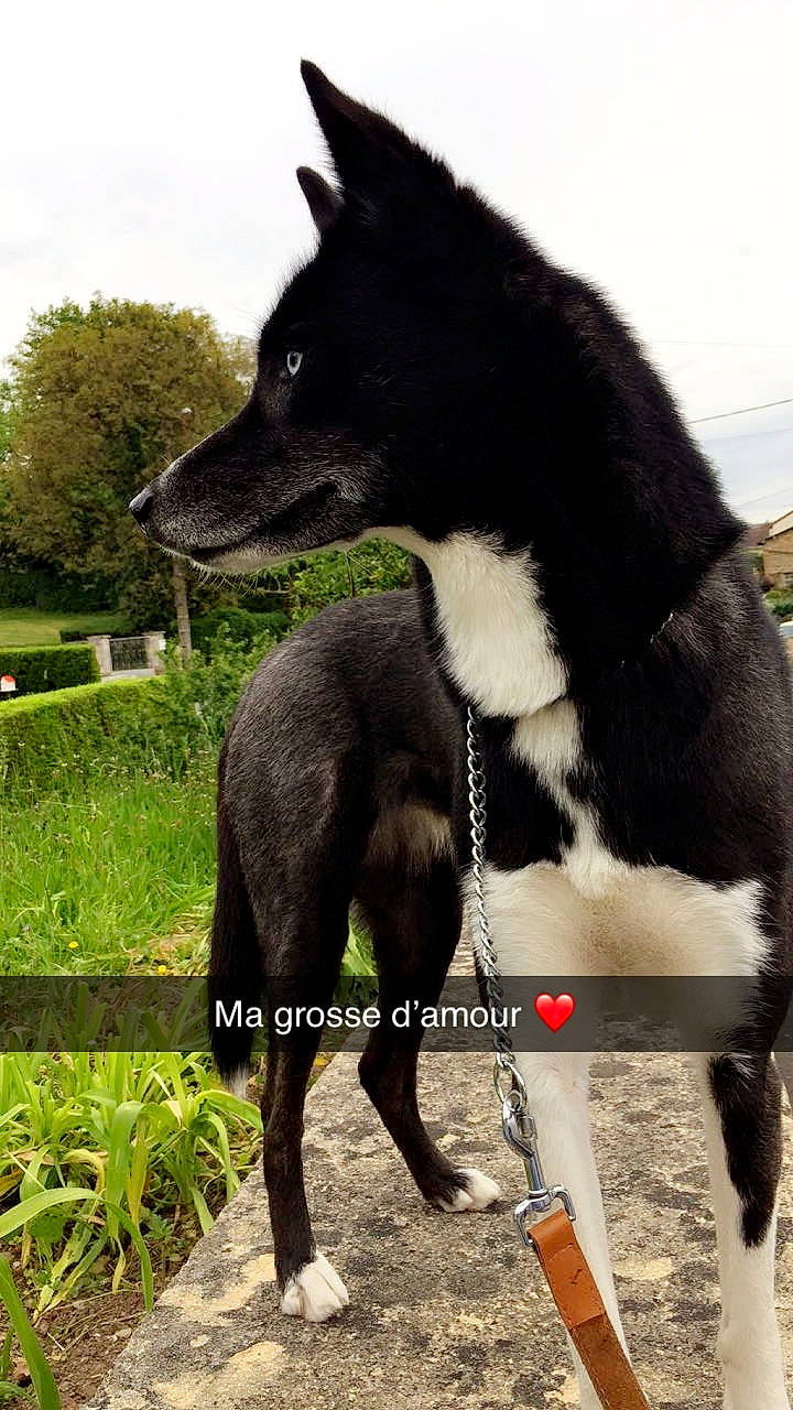 Mya