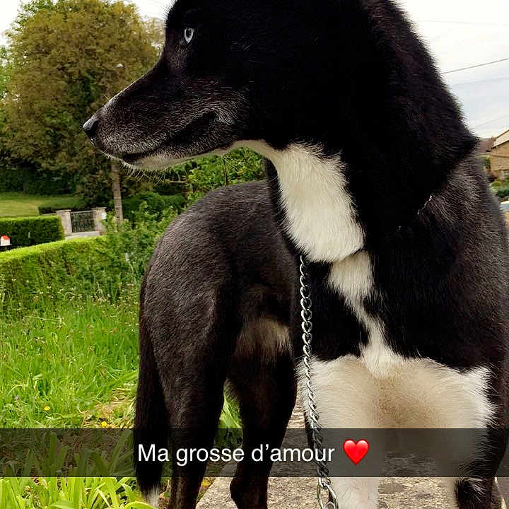 Mya