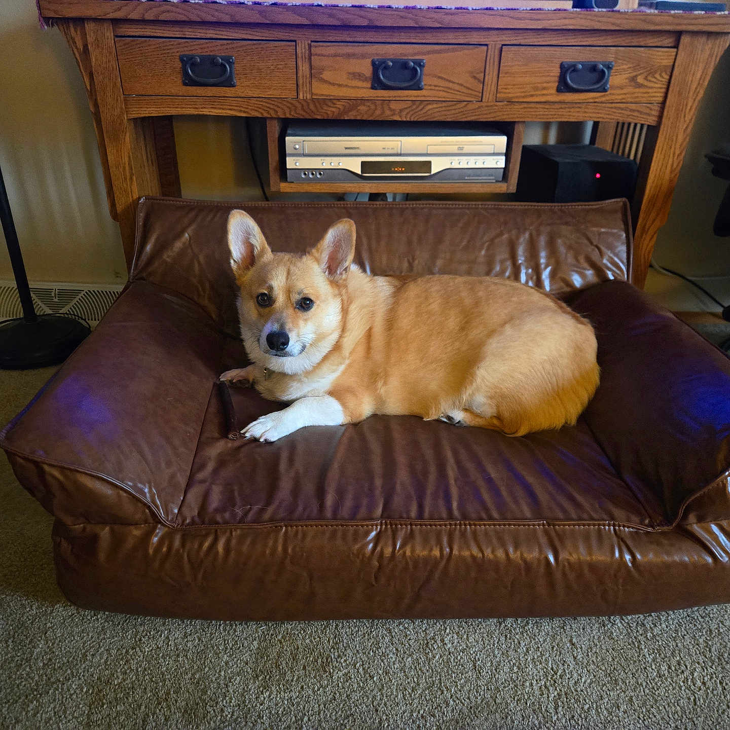 Georgie