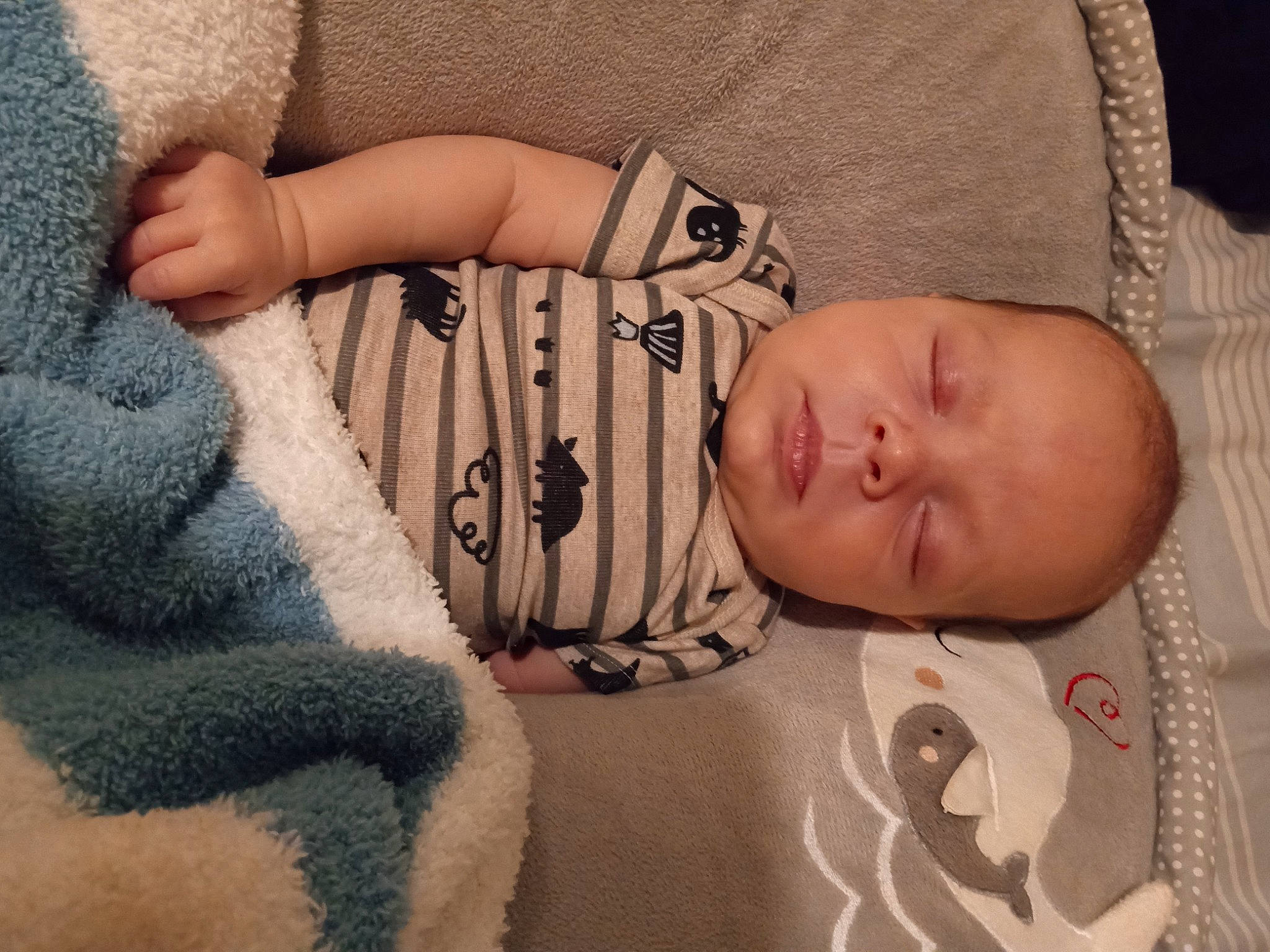 Lennyn joined the competition — help win amazing prizes! baby, baby_sleeping, baby_toddler_clothing, bedding, bedtime, child, comfort, fur, hand, human_leg, linens, nail, nap, pattern, person, skin, sleep, sleeve, toddler, wood