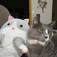 Jelly Roll joined the competition — help win amazing prizes! cat, stuffed_animal, plush_toy, gray_cat, yellow_eyes, indoor, furniture, wall_decor, metal_art, cozy, pet, whiskers, ears, relaxed, close_up, domestic_cat, home, couch, soft_toy, animal