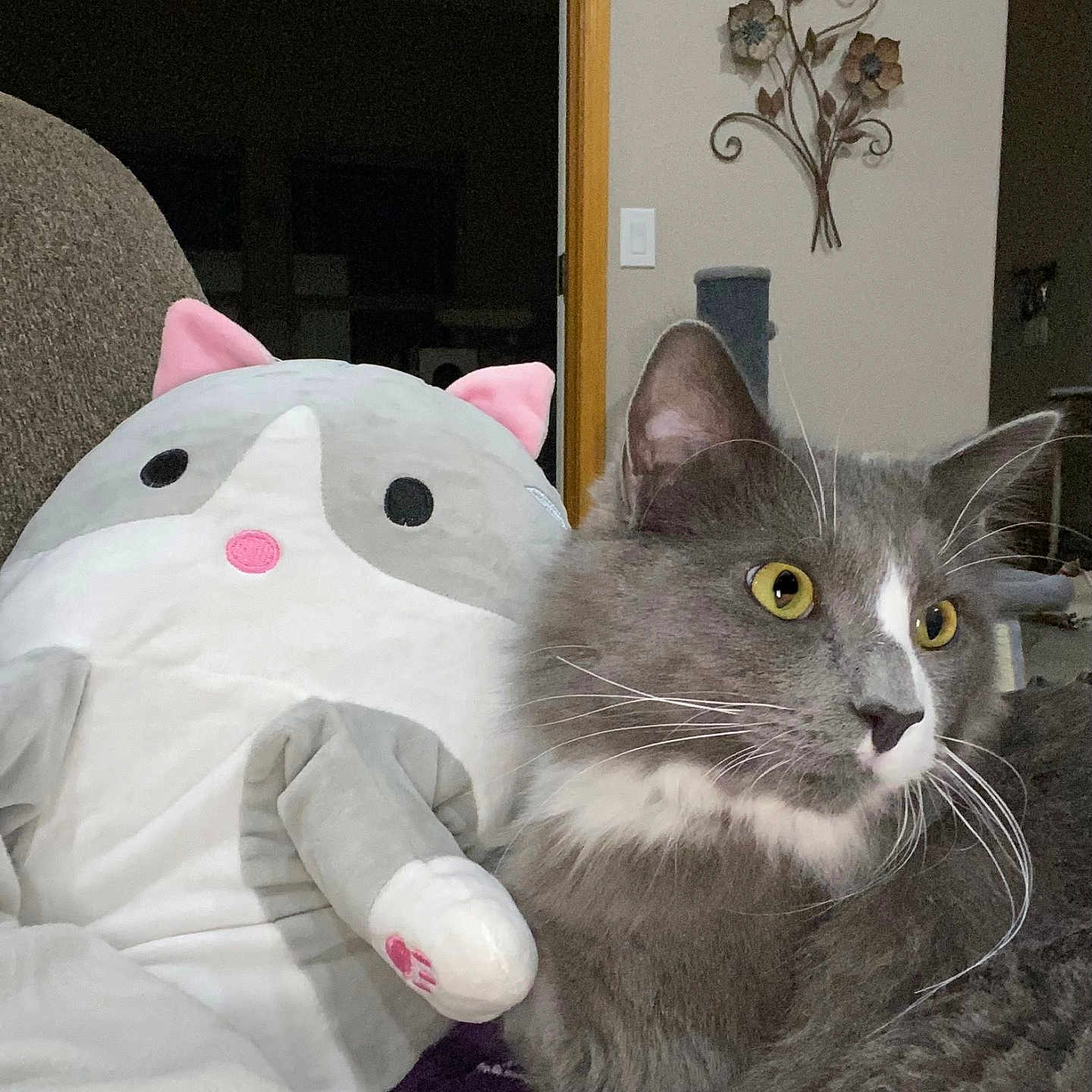 Jelly Roll joined the competition — help win amazing prizes! cat, stuffed_animal, plush_toy, gray_cat, yellow_eyes, indoor, furniture, wall_decor, metal_art, cozy, pet, whiskers, ears, relaxed, close_up, domestic_cat, home, couch, soft_toy, animal