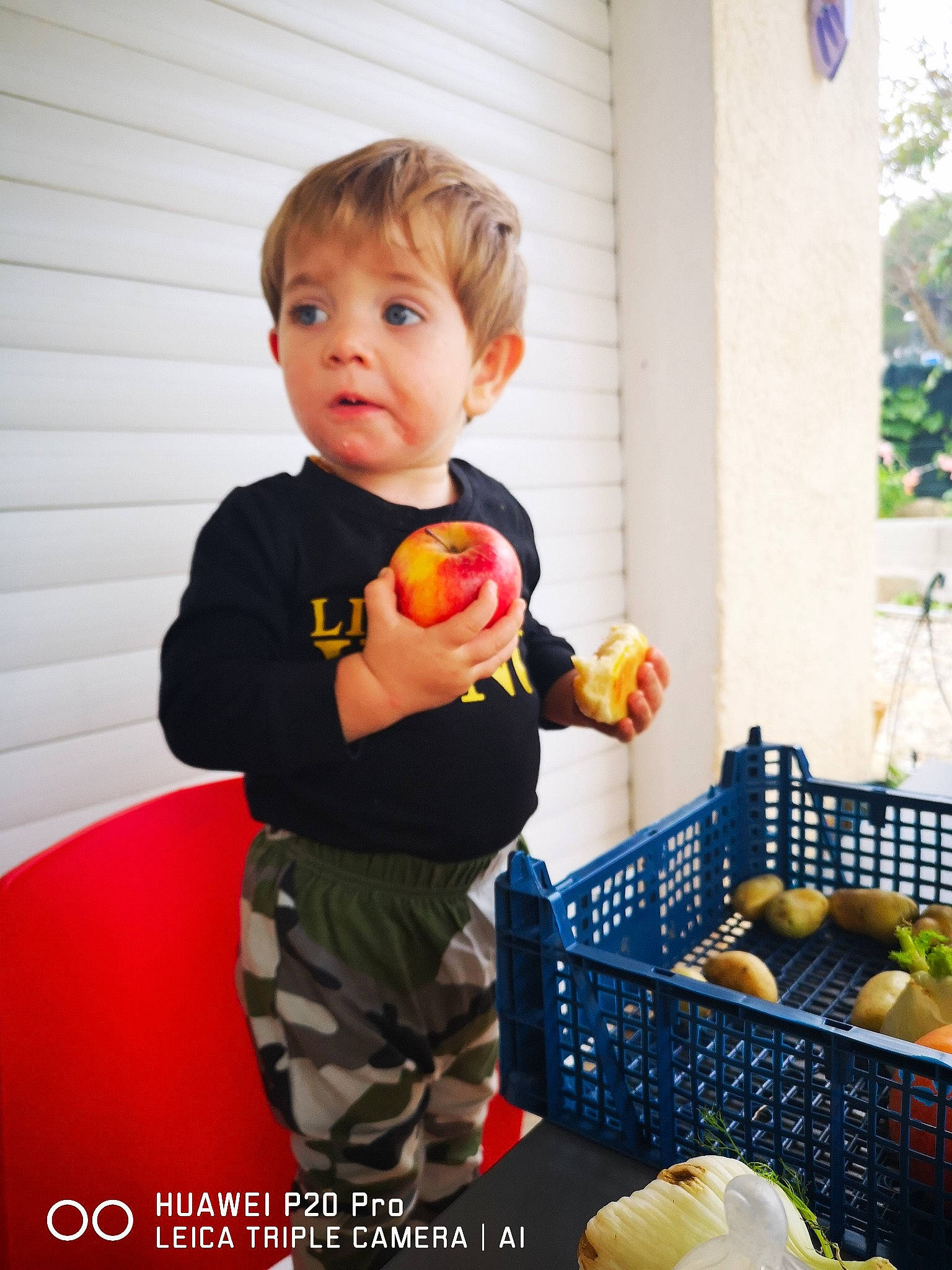 Vincenzo a rejoint le concours — aidez-le/la à gagner de superbes lots ! apple, baby, ball, cheek, child, food, fruit, party, person, photography, plant, play, room, rose_family, sitting, smile, standing, surprise, toddler, yellow