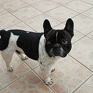 Houtch a rejoint le concours — aidez-le/la à gagner de superbes lots !