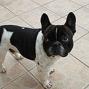 Houtch a rejoint le concours — aidez-le/la à gagner de superbes lots !