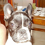 Houtch participe au concours pour gagner de l'argent avec cette photo :