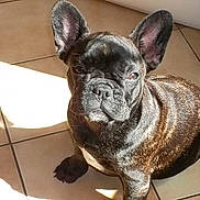 Jouna participe au concours pour gagner de l'argent avec cette photo :