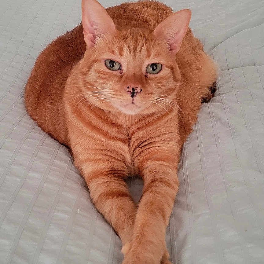Peachy