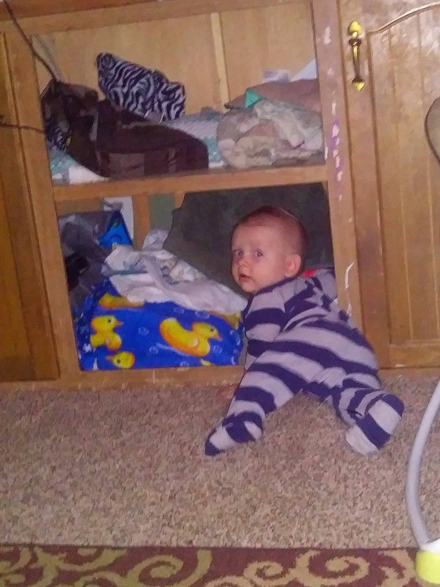 Enoch is registered to the contest to win money with this photo: baby, child, furniture, person, play, room, toddler