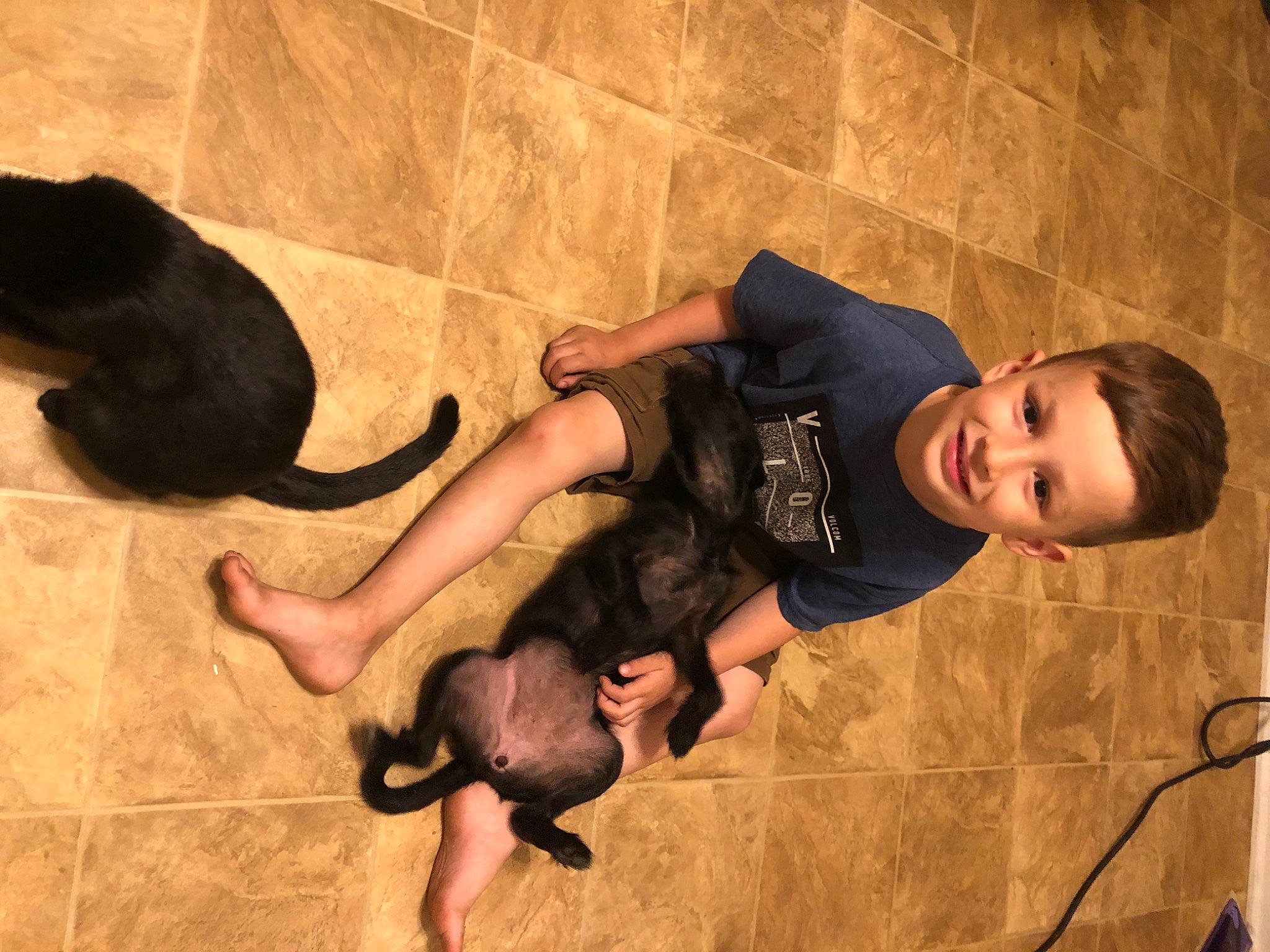 Addyson is registered to the contest to win money with this photo: adventure, dog_breed, flash_photography, flooring, foot, fun, hand, happy, human_body, joy, leg, leisure, person, portrait_photography, shadow, smile, t_shirt, thigh, toddler