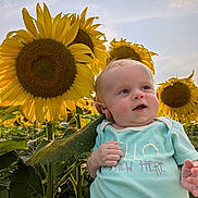 Scarlett is registered to the contest to win money with this photo: baby, child, sunflower, sunflower_field, outdoor, nature, portrait, smiling, sitting, infant, face, eyes, hands, blue_shirt, floral_clothing, greenery, golden_hour, sunlight, sky, flowers