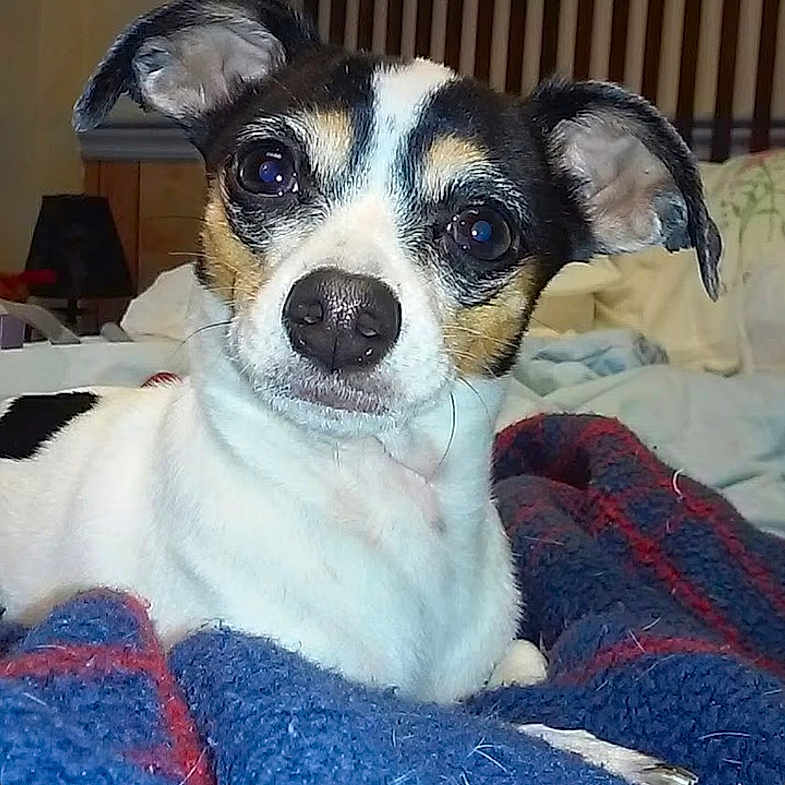 Molly