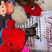 Night is registered to the contest to win money with this photo: dog, stuffed_toy, plush, giraffe, octopus, pig, bear, floor, text, message, toy, cute, animal, indoor, colorful, small_dog, background, fabric, heartfelt, peeking