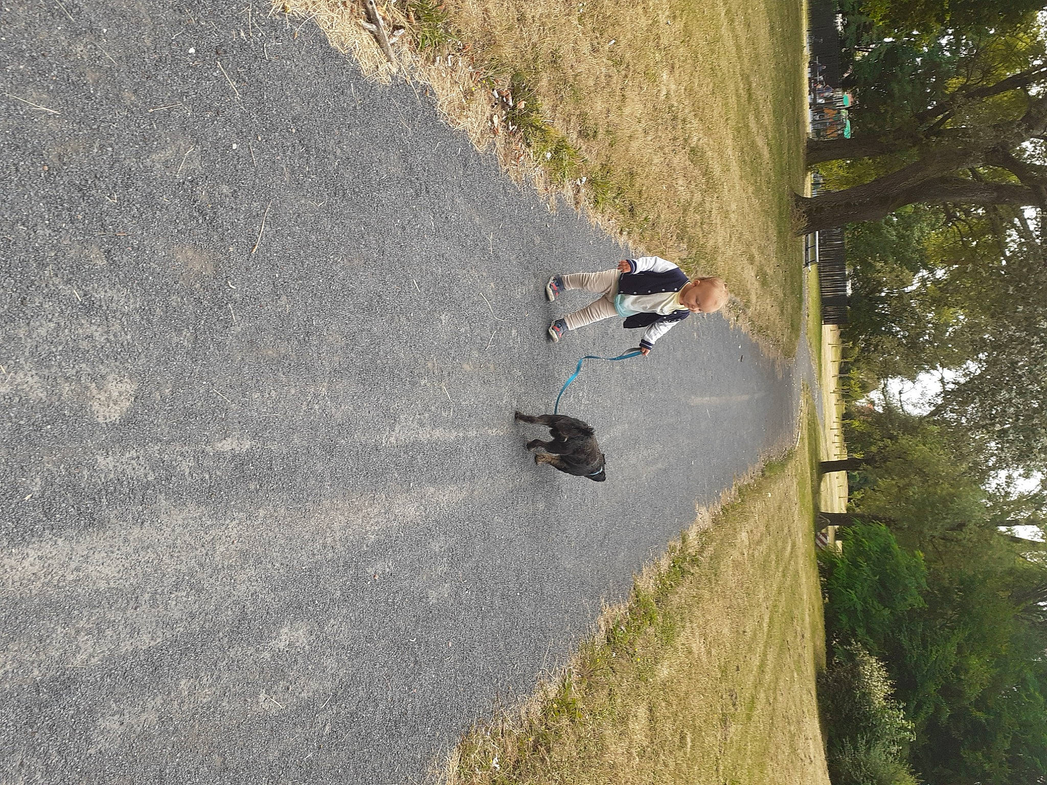 John participe au concours pour gagner de l'argent avec cette photo : asphalt, concrete, extreme_sport, grass, landscape, lane, leisure, person, plant, recreation, road, road_surface, shadow, shoulder, sidewalk, slope, soil, tar, tree, trunk