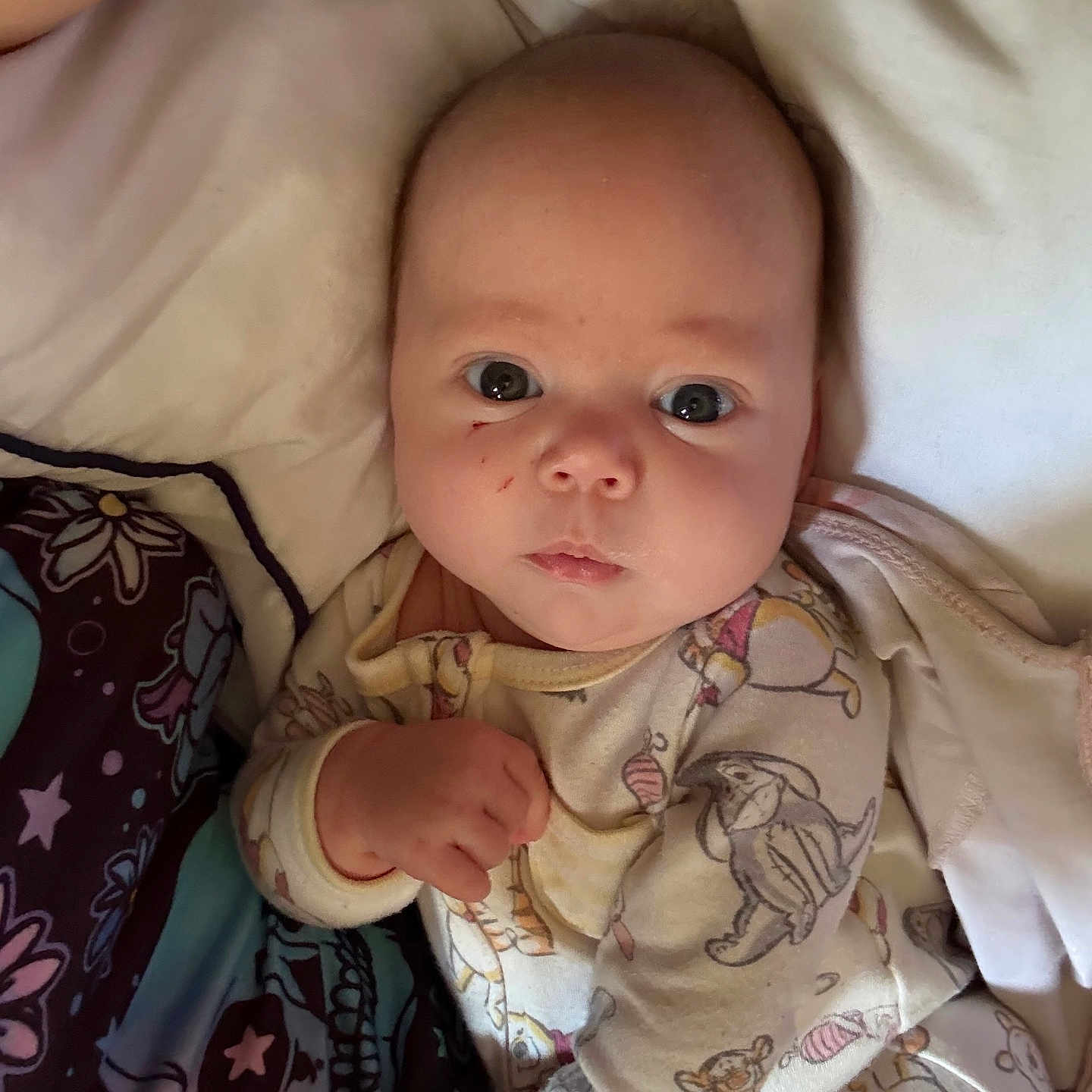 Dahlia is registered to the contest to win money with this photo: animal_print, baby, blanket, child, comfort, cute, expression, face, hand, indoors, infant, lying_down, newborn, onesie, pajamas, pattern, skin, sleepwear, soft, young