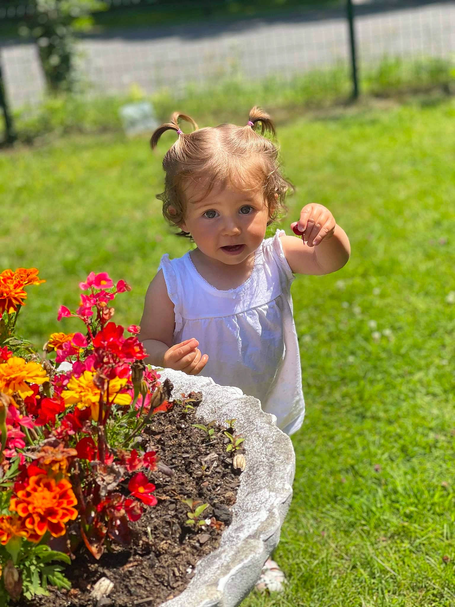 Anaë a rejoint le concours — aidez-le/la à gagner de superbes lots ! annual_plant, baby_toddler_clothing, flower, flowering_plant, fun, garden, grass, grassland, groundcover, happy, landscape, leaf, meadow, people_in_nature, person, petal, plant, shrub, spring, t_shirt