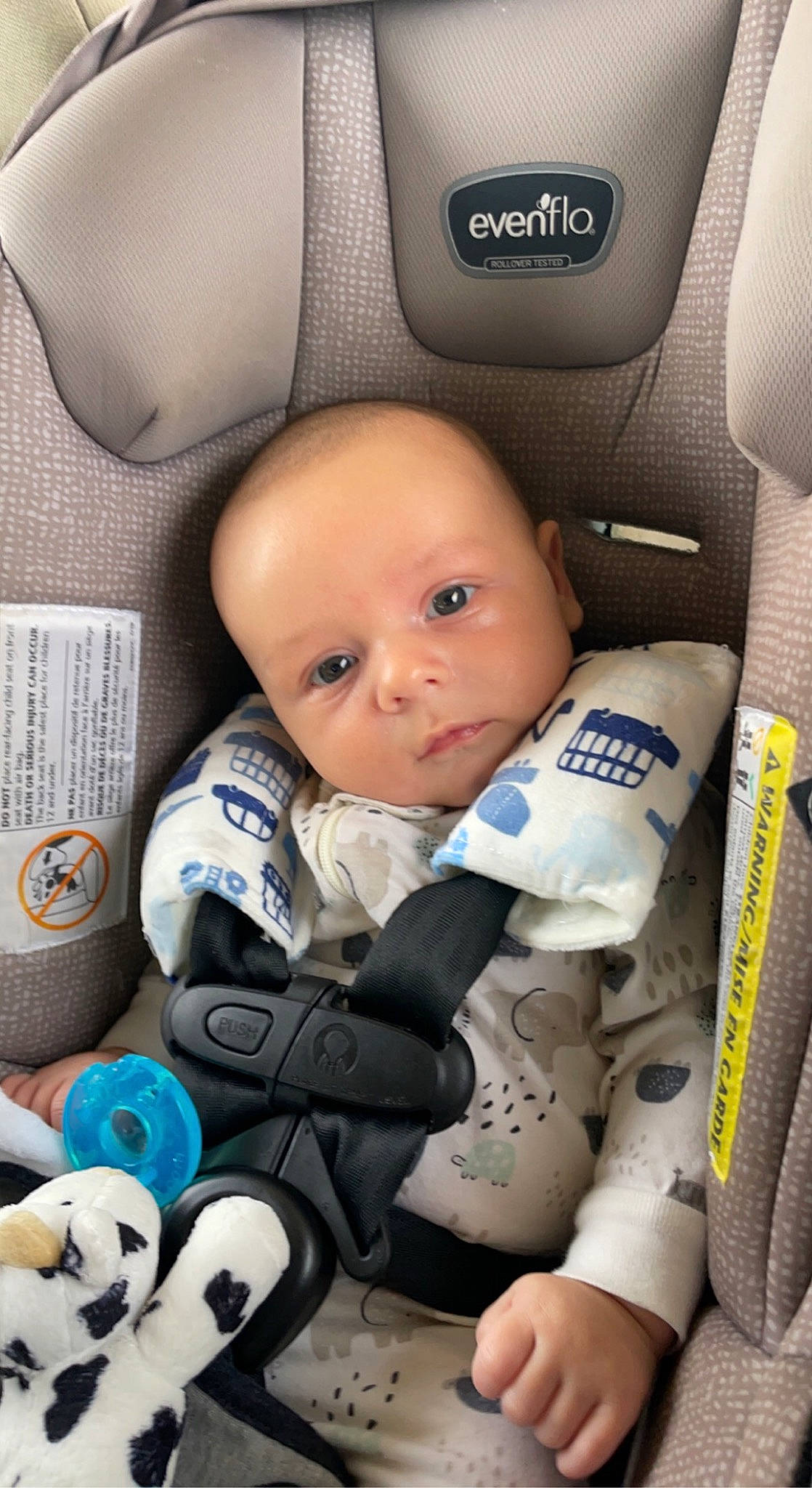 Brady joined the competition — help win amazing prizes! automotive_design, baby, baby_carriage, baby_in_car_seat, baby_products, baby_toddler_clothing, beauty, blue, car_seat, car_seat_cover, child, comfort, mammal, motor_vehicle, people, person, product, skin, toddler, vehicle_door