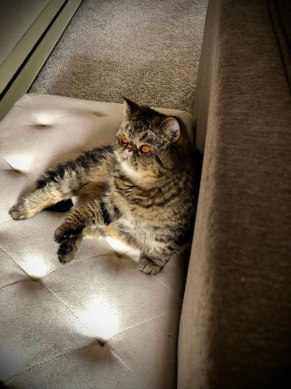 Elle